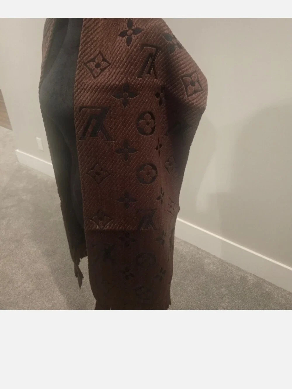 Louis Vuittion Scarf